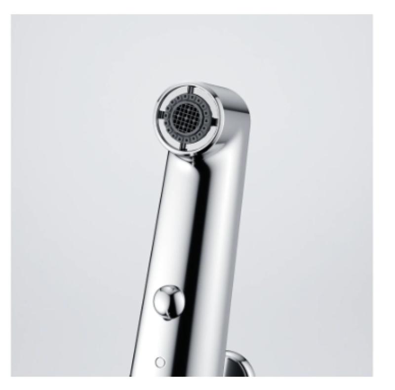 Franke Lift Кухненски смесител с издърпващ се душ, хром 115.0621.668