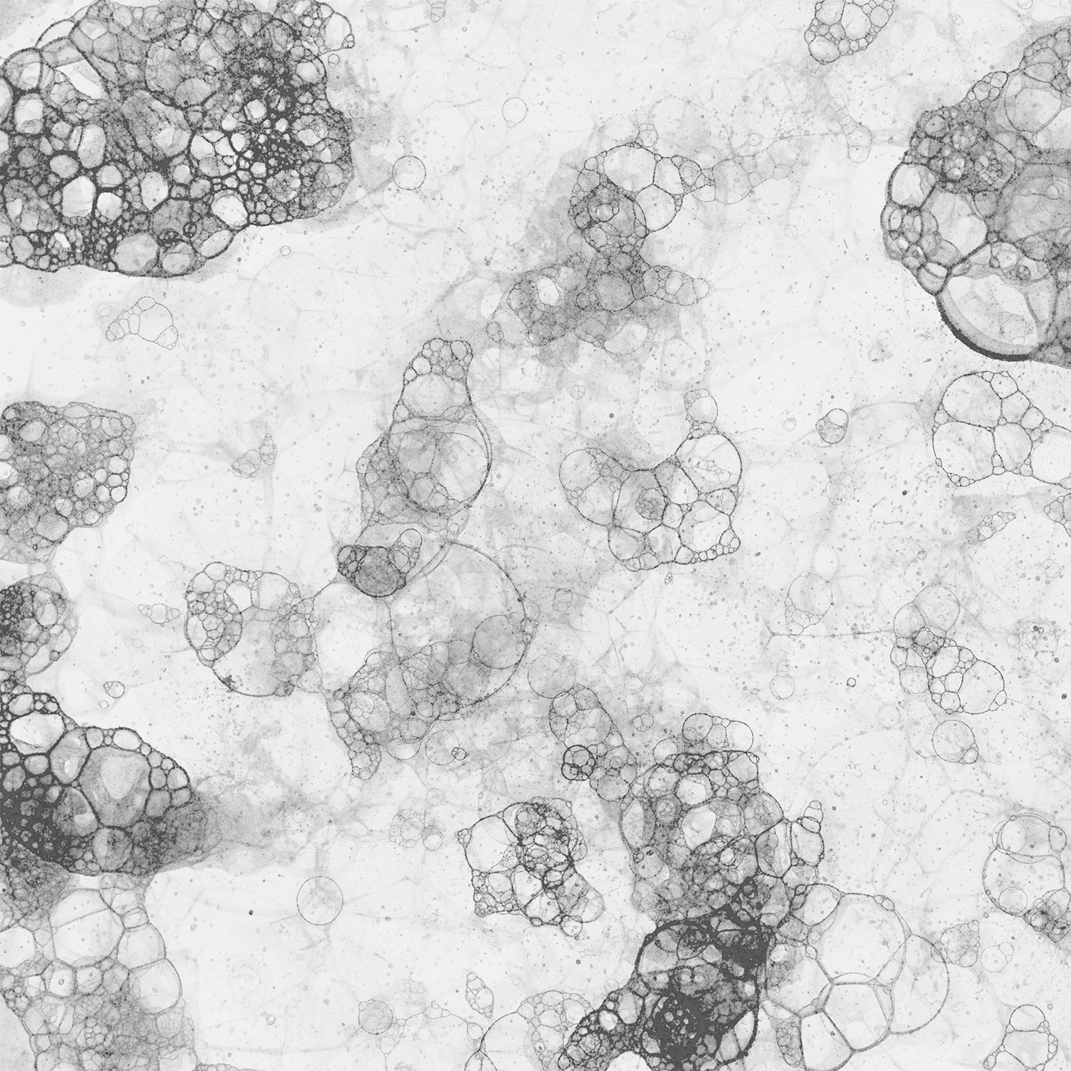 Превенция и премахване на мухъл в мивката: Важни съвети за чиста и здравословна кухня